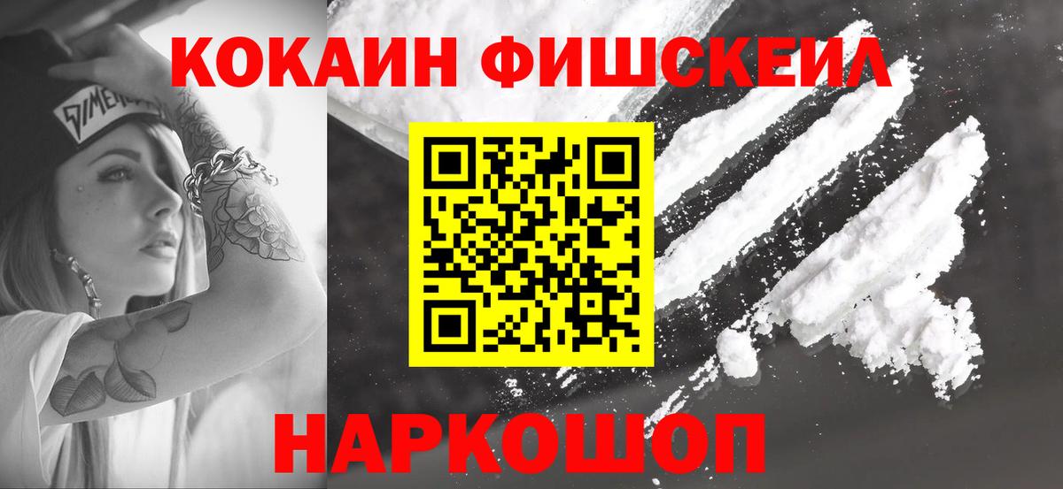 дарнет шоп  Кокаин FishScale  COCAIN FishScale  Вход с VPN  Новошахтинск 