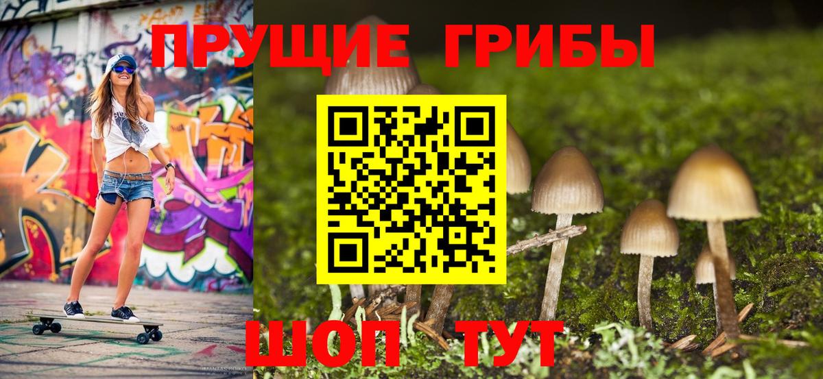 Новошахтинск  Галлюциногенные грибы MAGIC MUSHROOMS  Вход с VPN 