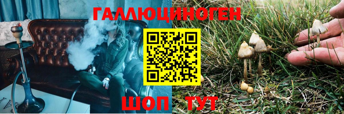 Псилоцибиновые грибы GOLDEN TEACHER Новошахтинск
