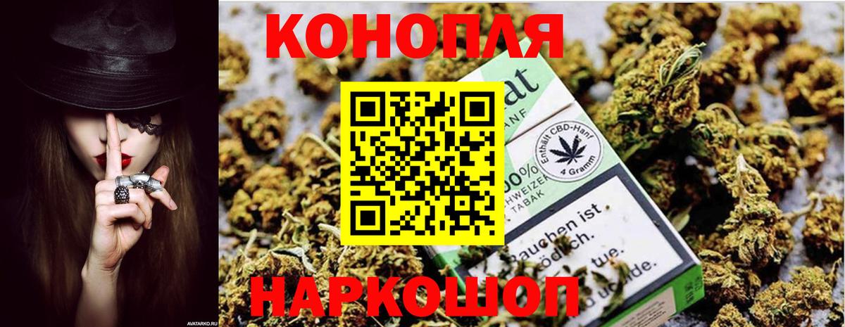Бошки марихуана MAZAR Новошахтинск